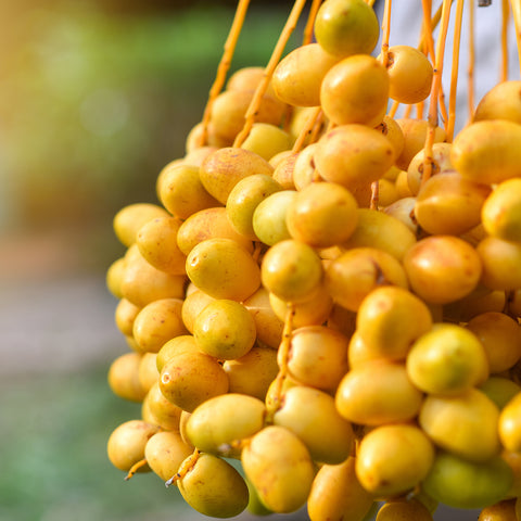 Dates