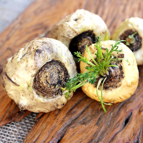 Maca