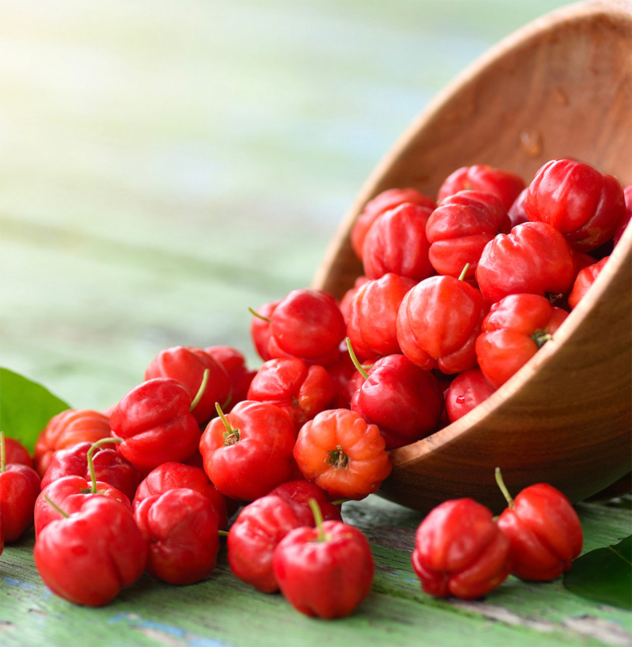 What Are The Benefits of Using Acerola For Your Skin?