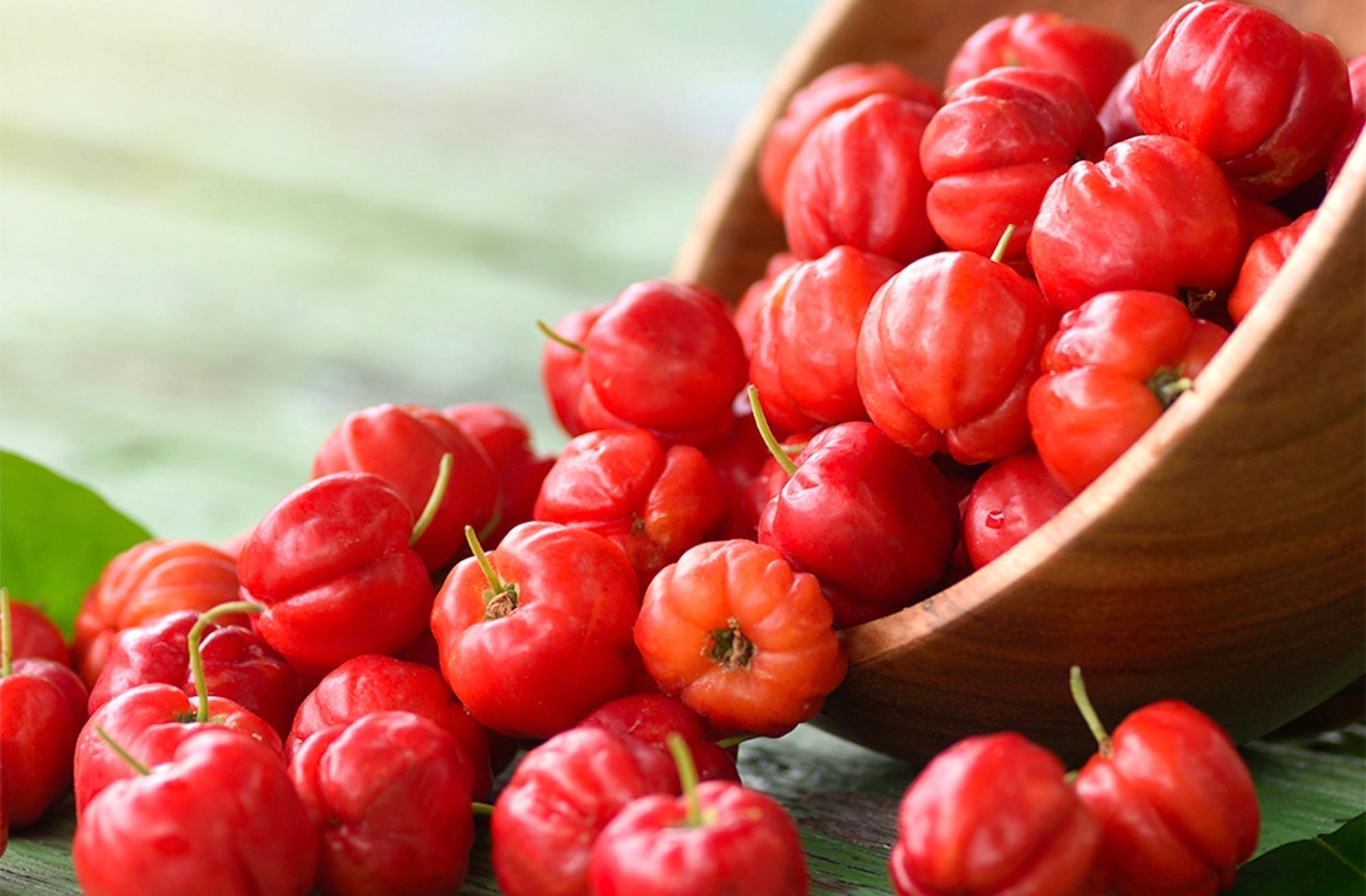 Benefits of Acerola: Immune Support, Antioxidants & Skin Health