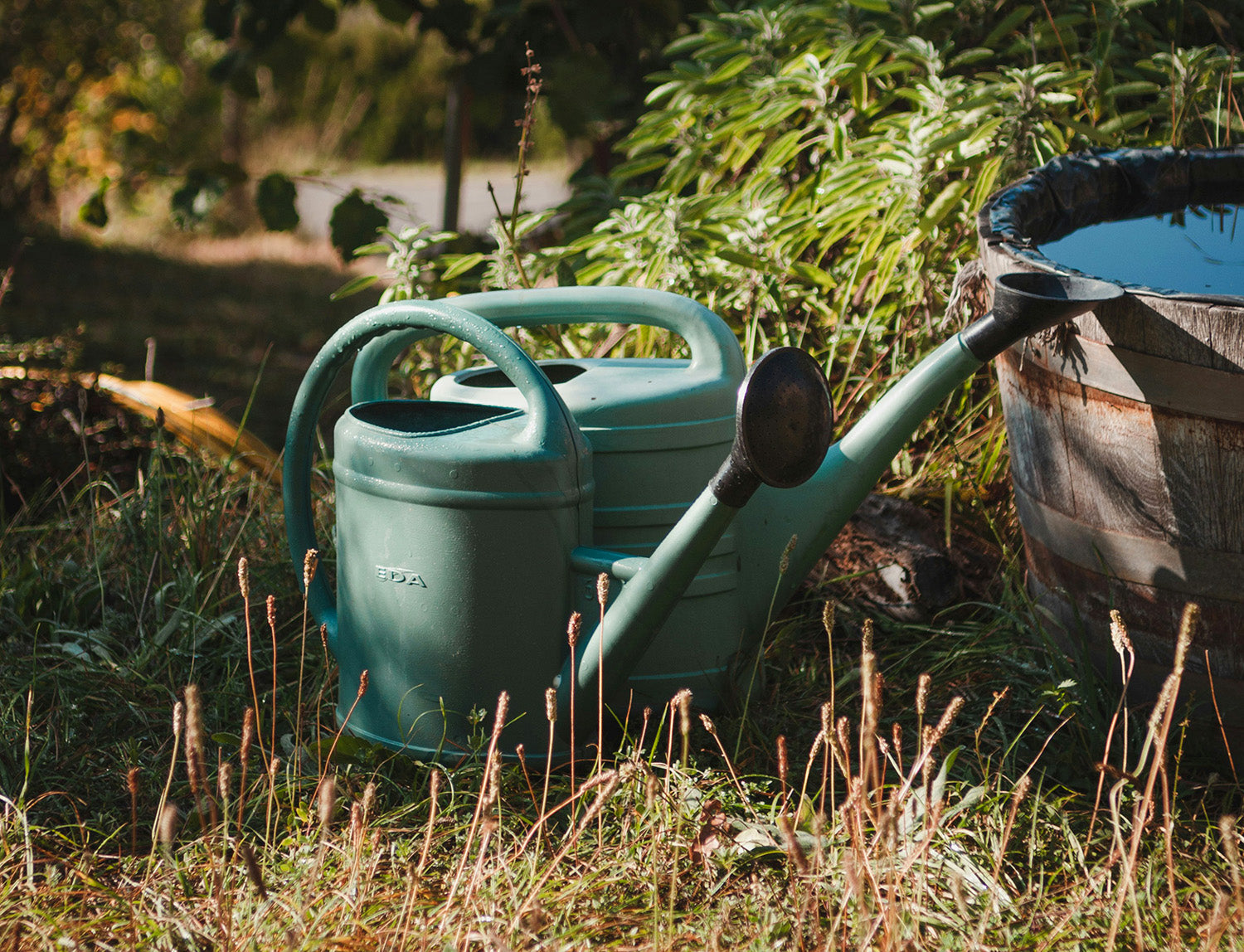 A Daily Ritual for Inner Clarity