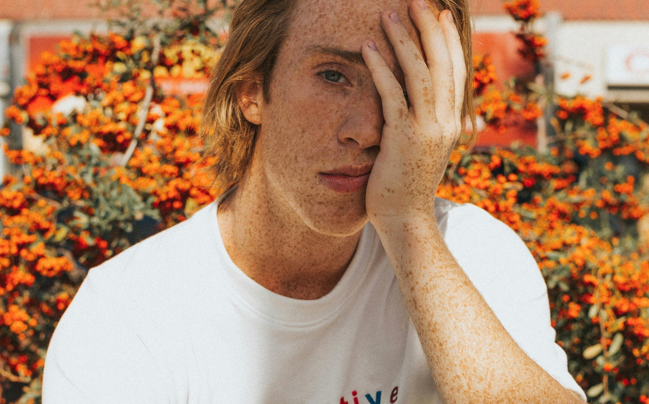 The Best Natural Supplements for Chronic Fatigue