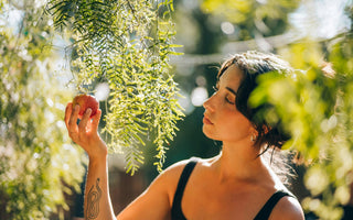 Natural Remedies for Nervous System: Herbs, Rituals & Lifestyle