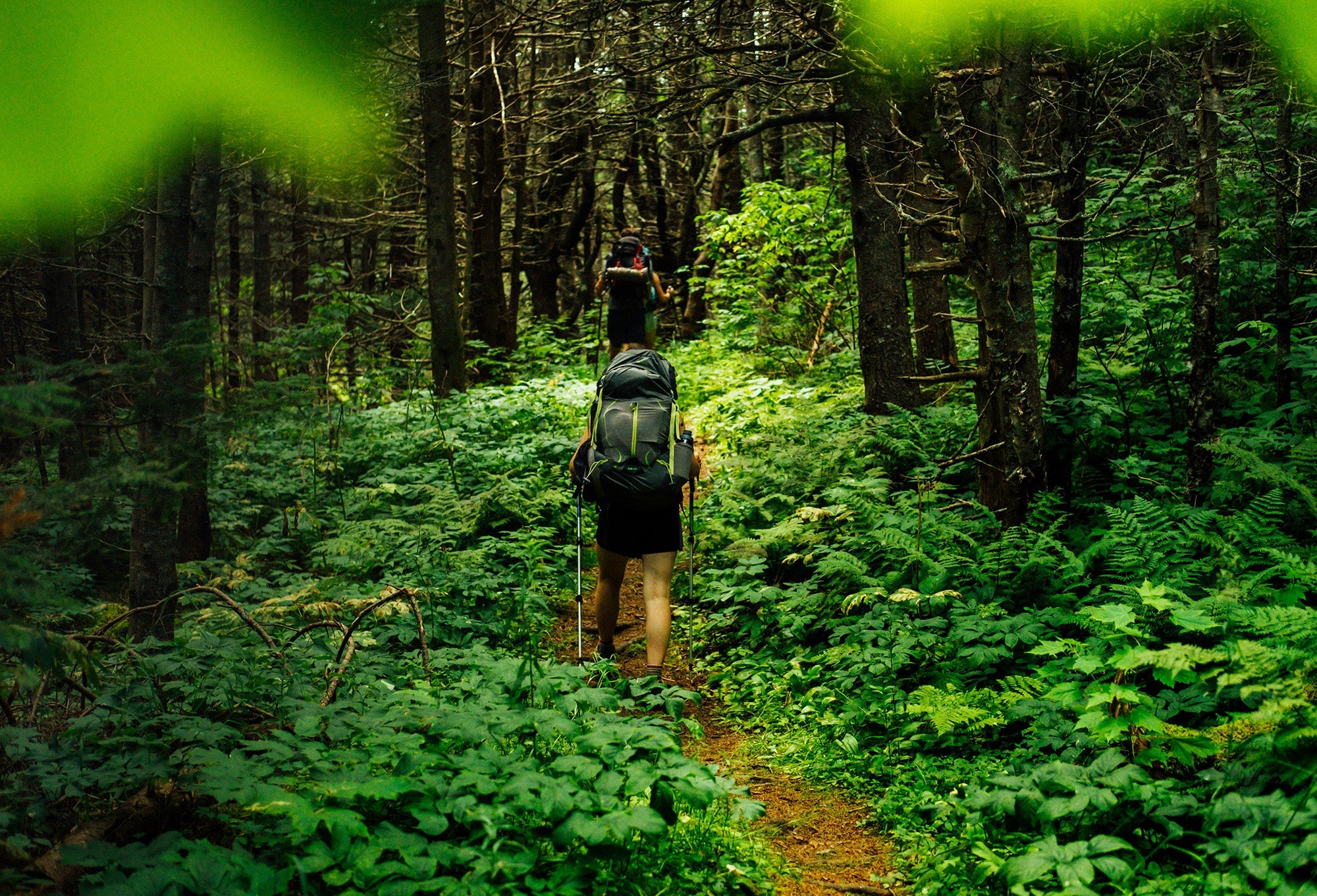 How to Improve Nervous System: 10 Science‑Backed Strategies