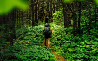 How to Improve Nervous System: 10 Science‑Backed Strategies