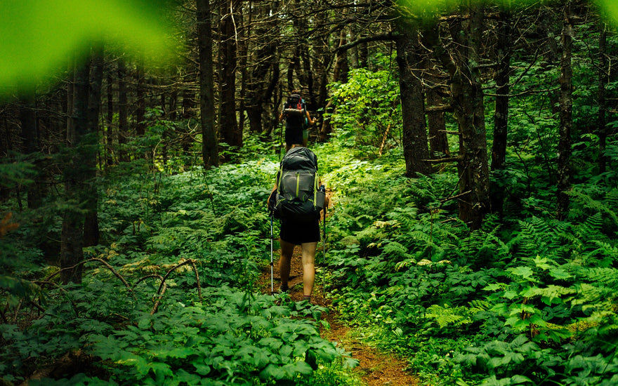 How to Improve Nervous System: 10 Science‑Backed Strategies