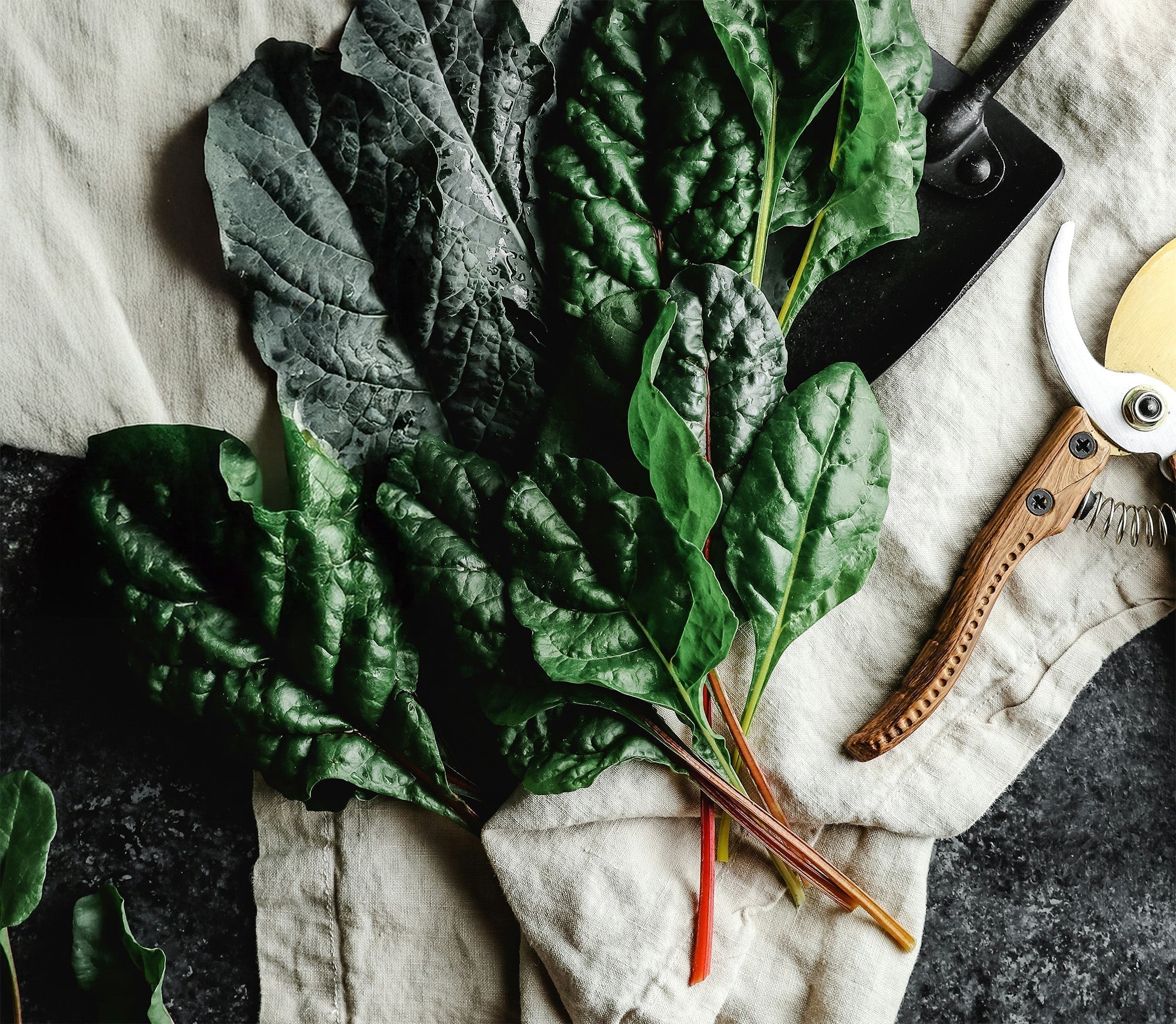 Why Goodsense Superfoods Is the UK’s Smartest Skin-Nutrition