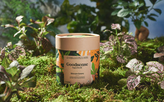 What Is Green Powder? Benefits, Ingredients & How It Works