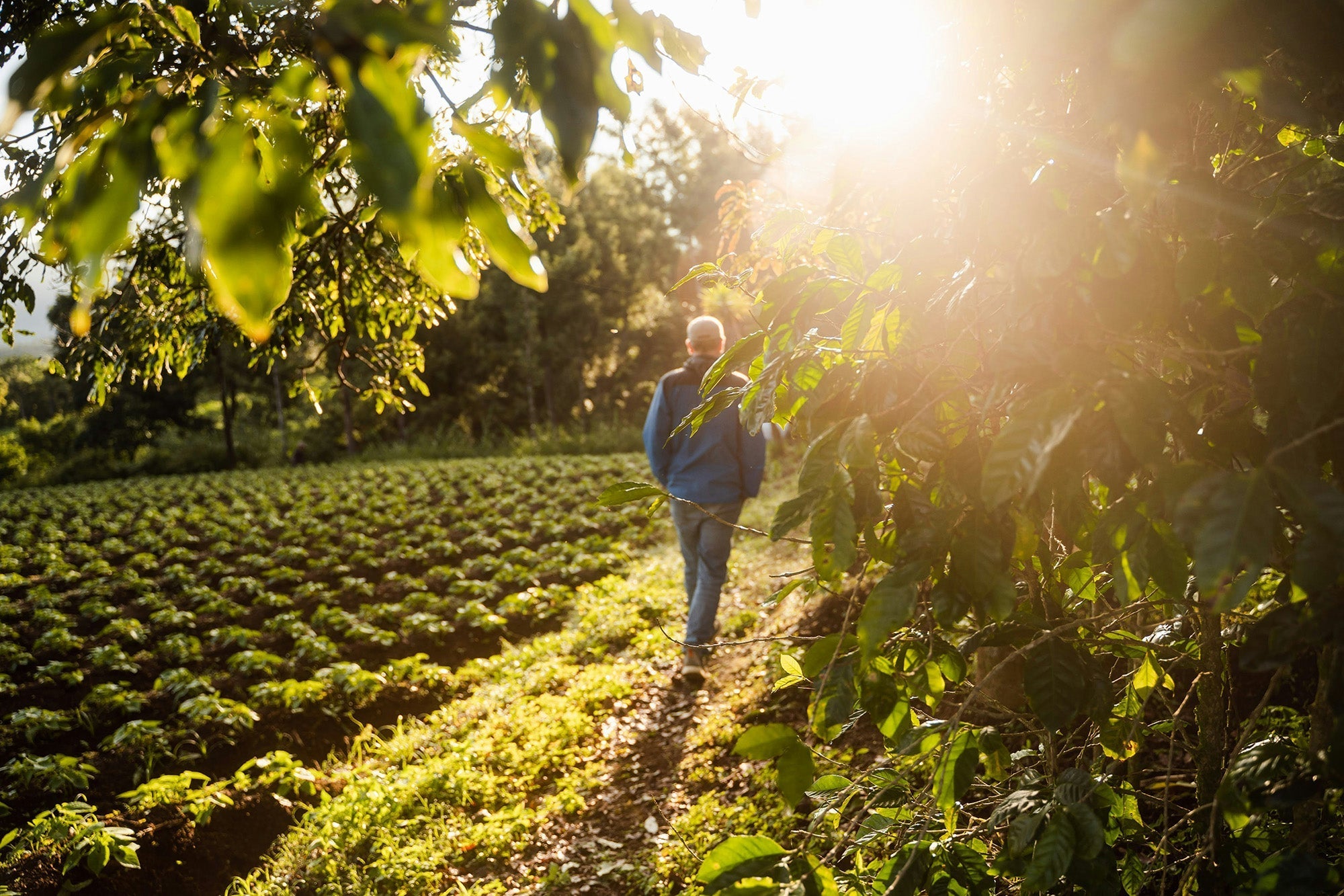 How to Heal Your Nervous System Naturally