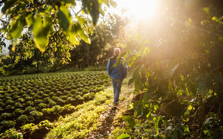 How to Heal Your Nervous System Naturally