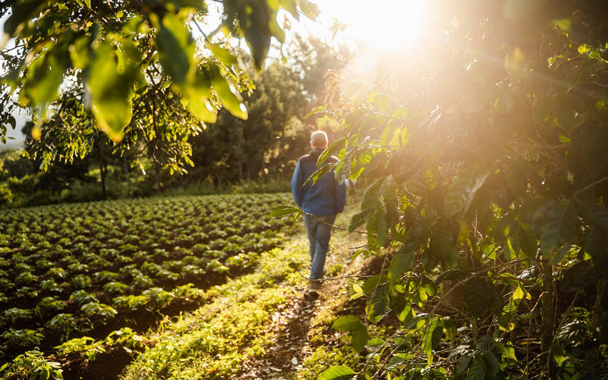 How to Heal Your Nervous System Naturally