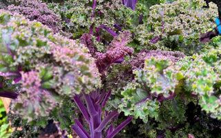 Benefits of Kale: Nutrition & Health Advantages