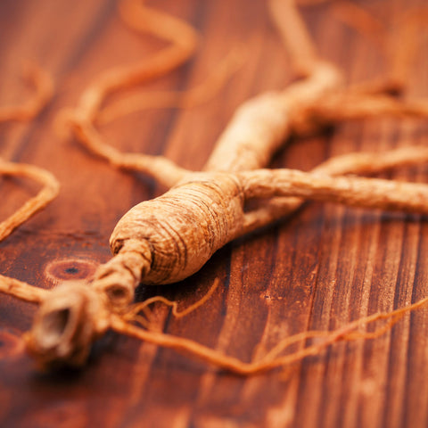 Organic Ginseng Panax